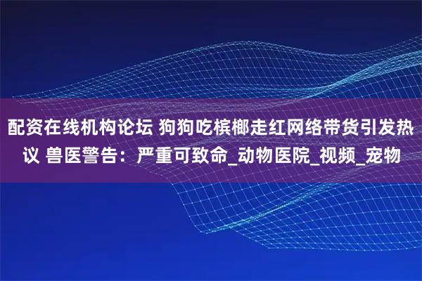 配资在线机构论坛 狗狗吃槟榔走红网络带货引发热议 兽医警告：严重可致命_动物医院_视频_宠物